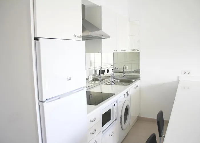 Harmony & Ocean Waves